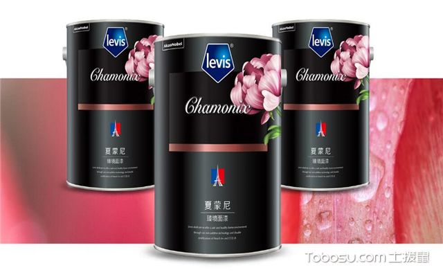 装修涂料种类-水泥漆