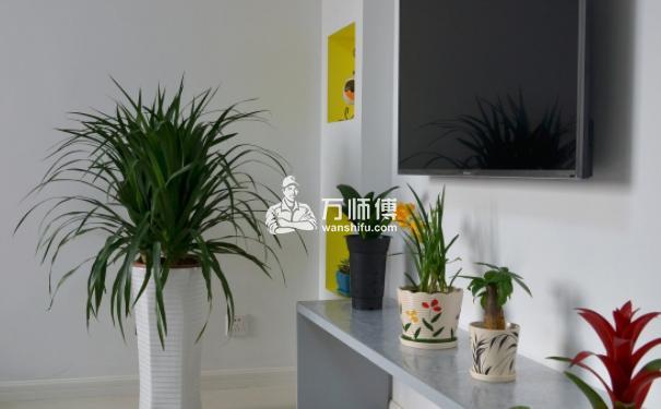 https://www.ijuzhong.com/zhuangxiu/uploads/allimg/20191201/1575153312506_1.jpg