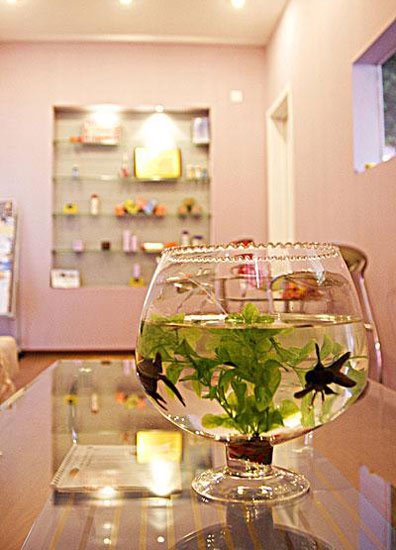 家居风水摆 几点_办公桌风水摆设的学问_家具摆放的风水