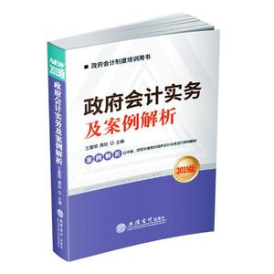 正版包邮 政府会计实务及案例解析:2019版 王晨明 书店 国家预算、决算书籍
