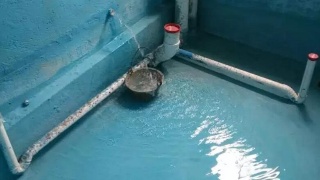 装修防水验收_装修防水 验收_装修水电改造验收注意事项