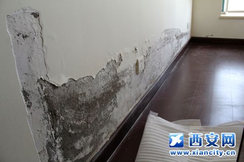 收房装修帮_房子收房装修后漏水_想装修怕楼上装修时漏水怎么办
