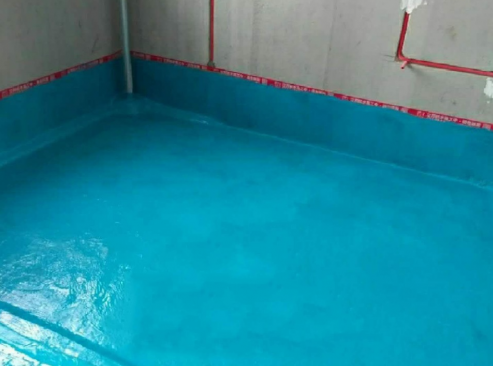 防水 涂料 卷材_卷材防水 涂料防水_装修防水涂料
