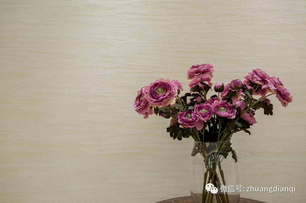 演绎完美涂装生活，油漆加盟用庄典漆！