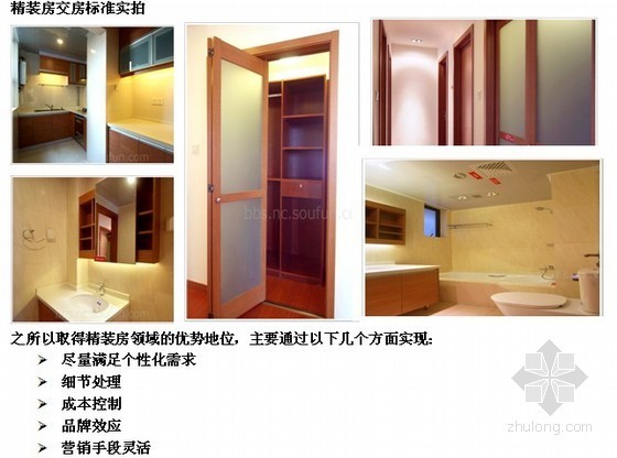 [长沙]精装修房市场分析报告（2010年）