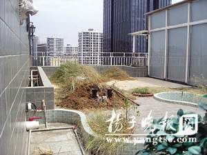 高层顶楼永久防水彩钢_高层 顶楼施工设计_高层顶楼装修防水隔热