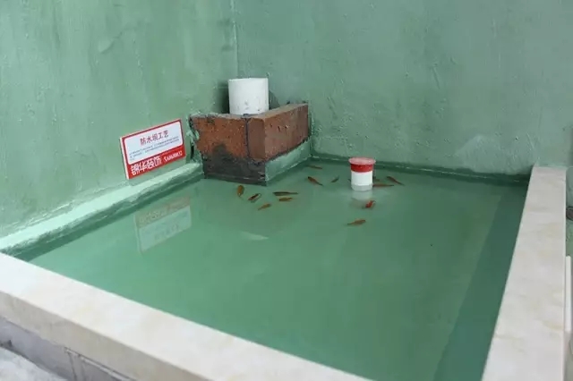 卷材防水与涂料防水_墙面防水自喷涂料_装修防水涂料工序