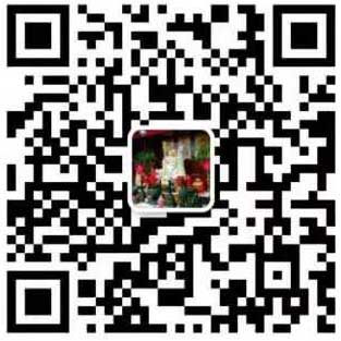 大师微信