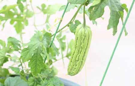 装修油漆工序时间_装修油漆工序_小暑可以装修油漆好吗