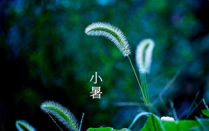 装修油漆工序_装修油漆工序时间_小暑可以装修油漆好吗