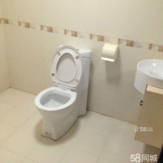 有坑距的马桶可以装挂墙式马桶吗_装修油漆可以倒马桶里吗_装修油漆师傅