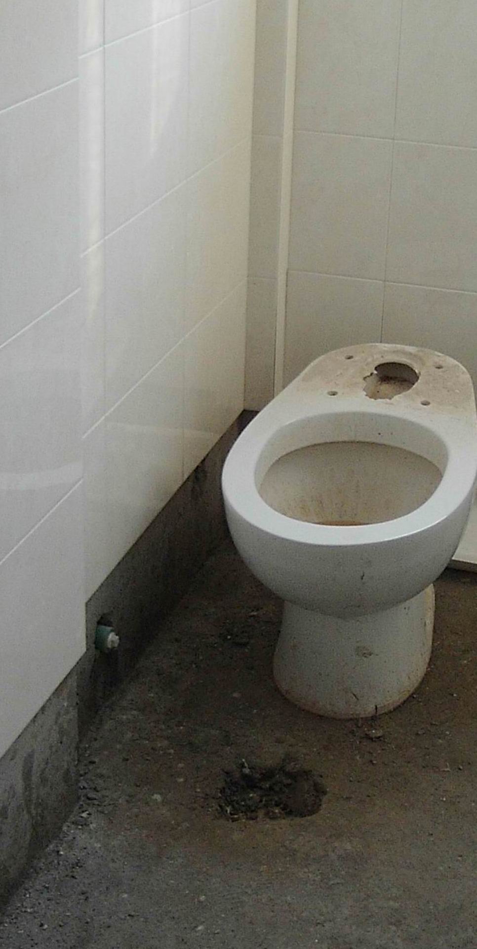 装修油漆可以倒马桶里吗_装修油漆师傅_有坑距的马桶可以装挂墙式马桶吗