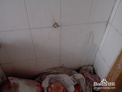 装修如何去除油漆污渍_地毯上污渍怎么去除_地坪油漆如何清洗污渍