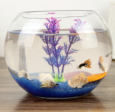 鱼缸风水_家居风水全玻璃鱼缸_鱼缸的摆放风水