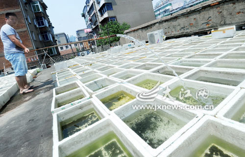 顶楼防水隔热_顶楼隔热防水装修_顶楼如何做防水