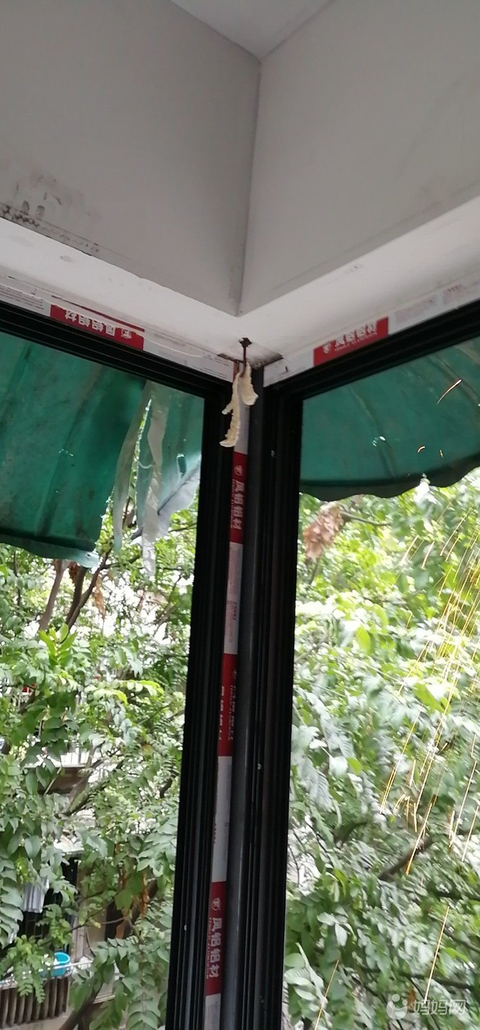 wx_camera_1547348515169.jpg