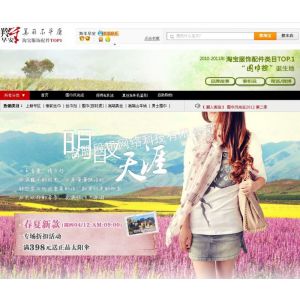 供应晋江淘宝网店装修 淘宝天猫整店装修 淘宝美工