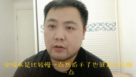 家庭装修要不要刷“黄墙绿地”
