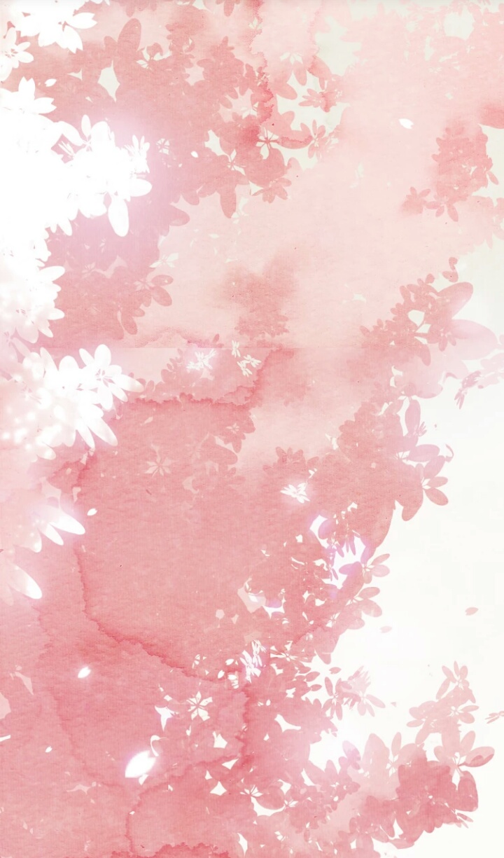 粉晕儿效果怎样_樱花笔写出来的效果_樱花粉装修效果图
