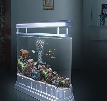 家居与风水_家居风水金鱼箱_家居摆放风水