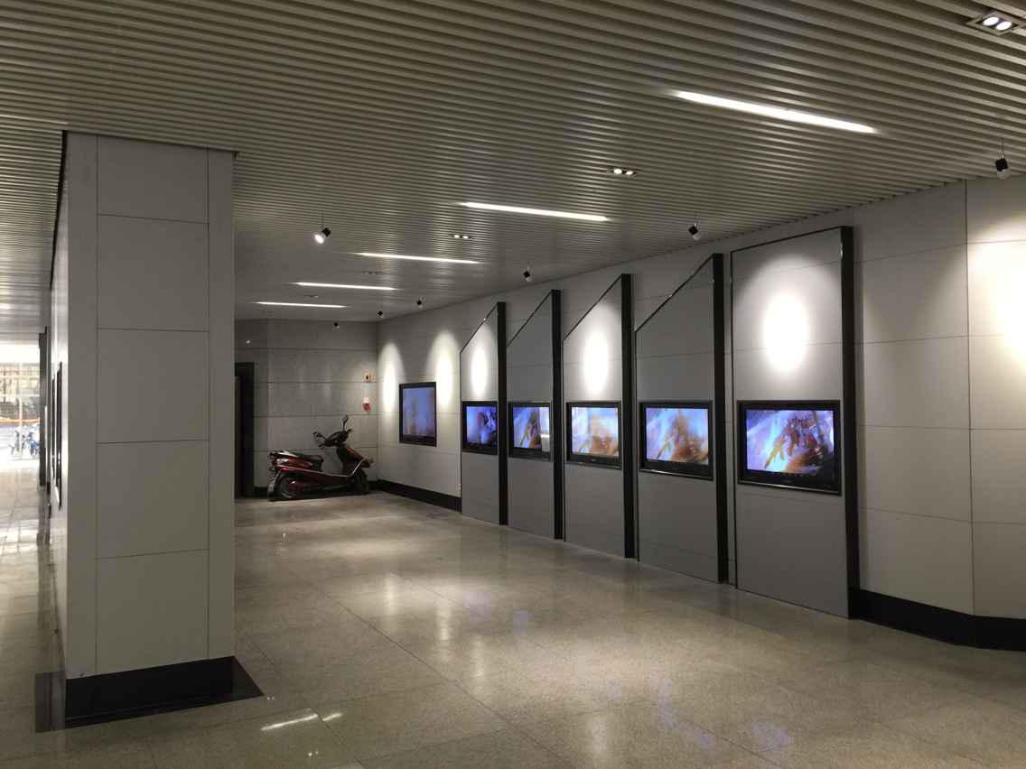 竣工规划验收申请报告_竣工环境保护验收_展厅装修竣工验收单