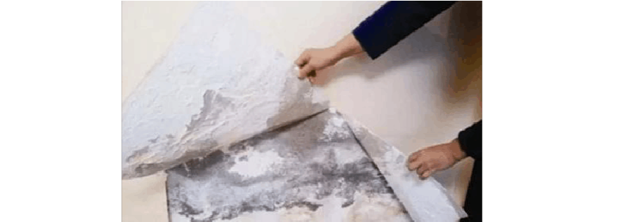 防水防霉墙纸_新房装修墙面防水防霉_新房装修墙面