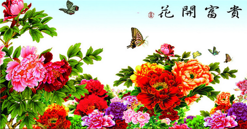 对家居风水好的花_漫说家居好风水,灶炉摆放风水宜忌?不可不知!_家居好风水