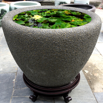 家居八宅风水_家居风水水缸存污水_家居 风水 方位