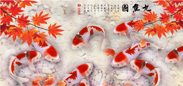 家居风水鱼的条数_家居摆放风水_风水八卦与家居五行的风水关系