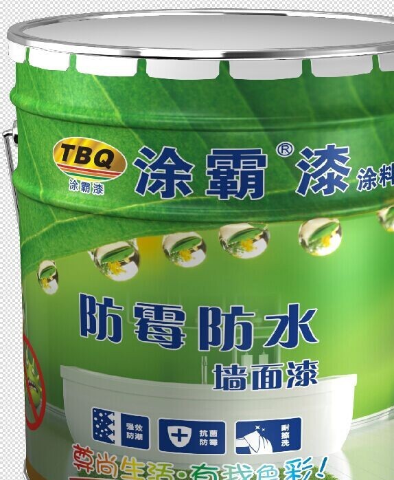 家装防霉涂料_房子装修墙面涂防水防霉涂料吗_墙面装修涂料