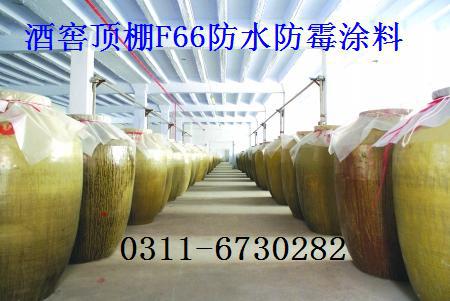 房子装修防水_房子装修墙面涂防水防霉涂料吗_装修墙面涂料价格