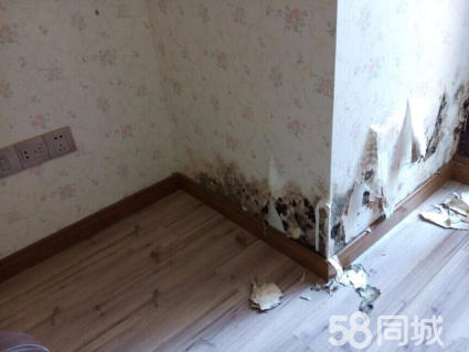 铁皮房拆除_二手房装修拆除油漆_拆除旧房装修报价单