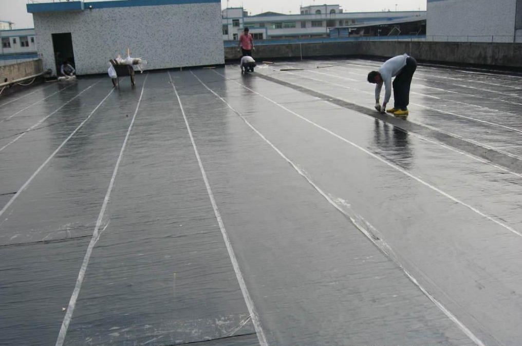 pvc卷材施工工艺_自粘卷材施工工艺_装修卷材施工图片