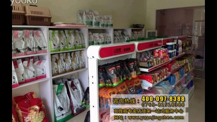 宠物店墙面装修可以选择什么样的色彩搭配