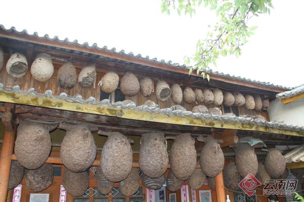 家居灯饰风水_胡蜂窝家居风水_家居摆设风水