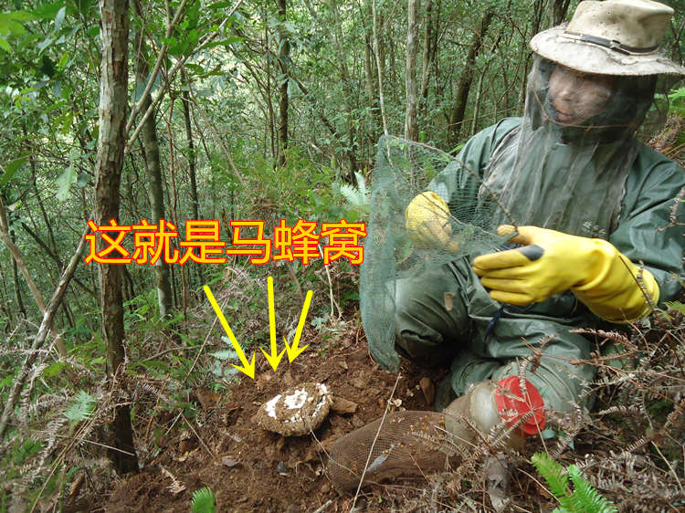 家居灯饰风水_家居摆设风水_胡蜂窝家居风水