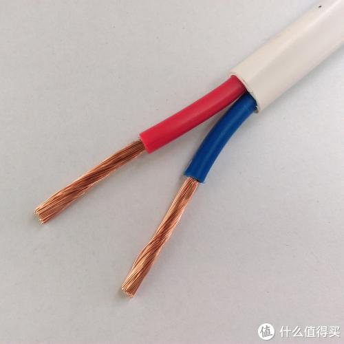 （护套线，表面有保护套，现在有些农村装修还是用这个线）