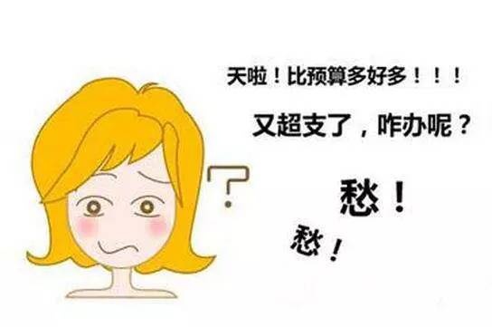装修预算合理分布_装修墙面处理预算_装修步骤及预算