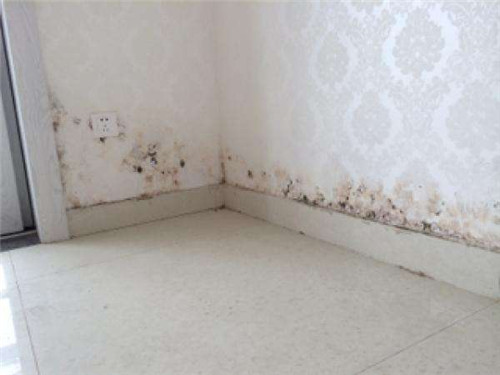 新房装修后冬季入住墙壁发霉_新房装修治理后能马上入住吗_新房装修多久才能入住