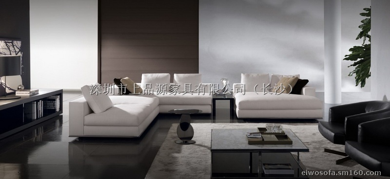 沙发背景墙效果图片_艾沃沙发装修效果图_艾沃沙发装修效果图