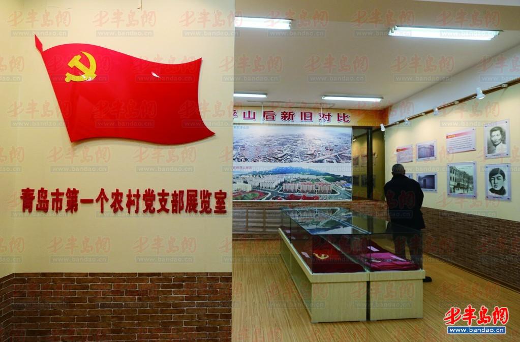 房地产管理局支部委员会党建工作总结_党支部装修设计_学校支部党建工作总结
