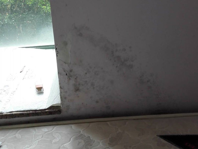 装修油漆工序_装修墙面油漆工序_装修油漆起壳发霉