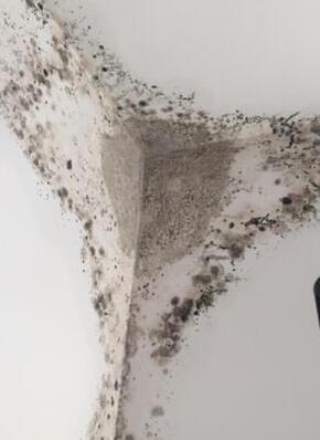 装修油漆起壳发霉_装修墙面油漆工序_墙面起壳