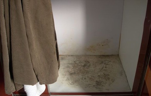装修油漆起壳发霉_装修油漆工序时间_黄梅天装修如何防止油漆发霉