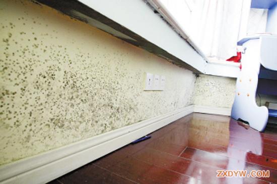 装修油漆质量不合格_装修油漆材料清单_装修油漆工序时间