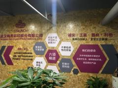 湖北弘嘉空间建筑装饰工程有限公司