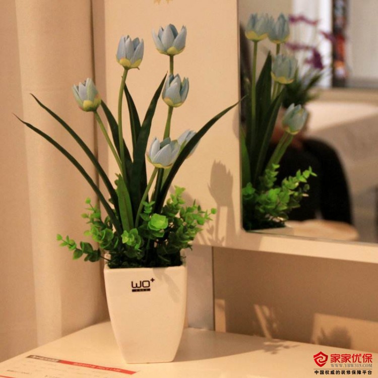 客厅摆铜壶的风水_漫说家居好风水,灶炉摆放风水宜忌?不可不知!_家居风水摆荷花好吗