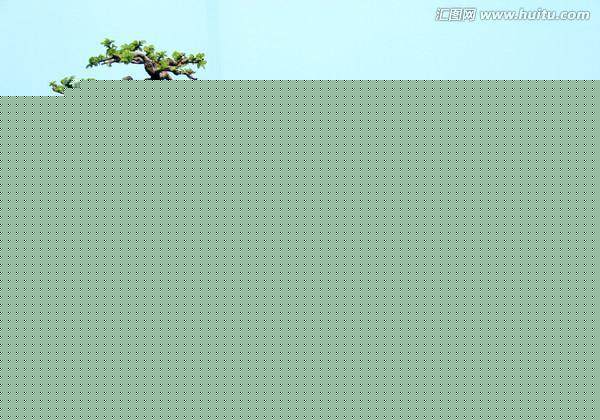 松柏盆景欣赏_松柏盆景与家居风水_松柏盆景与风水