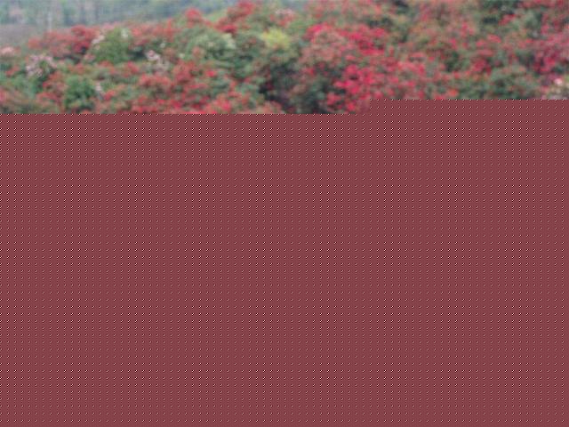 家居好风水_杜鹃对家居风水好吗_家居镜子风水