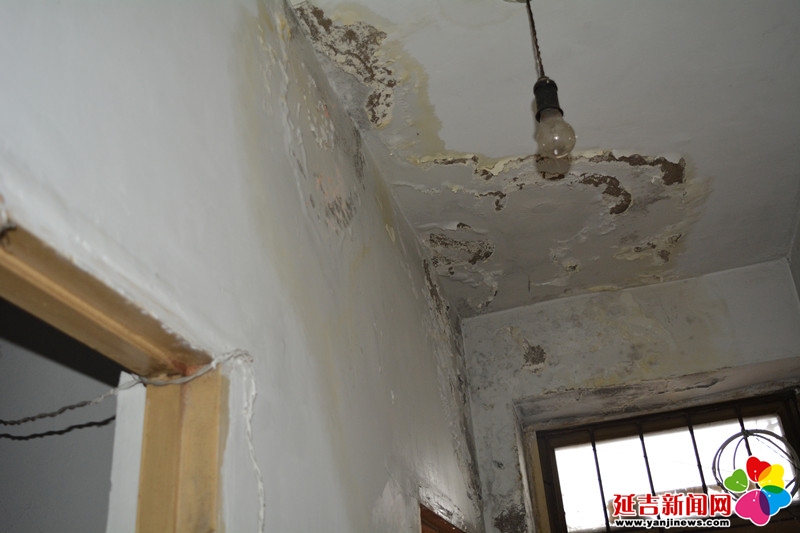 给公司造成1000万损失_老去马家楼会给当地政府造成影响吗_装修施工对楼下造成的损失